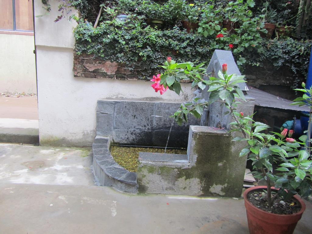 Hotel Peace N Park Katmandu Kültér fotó